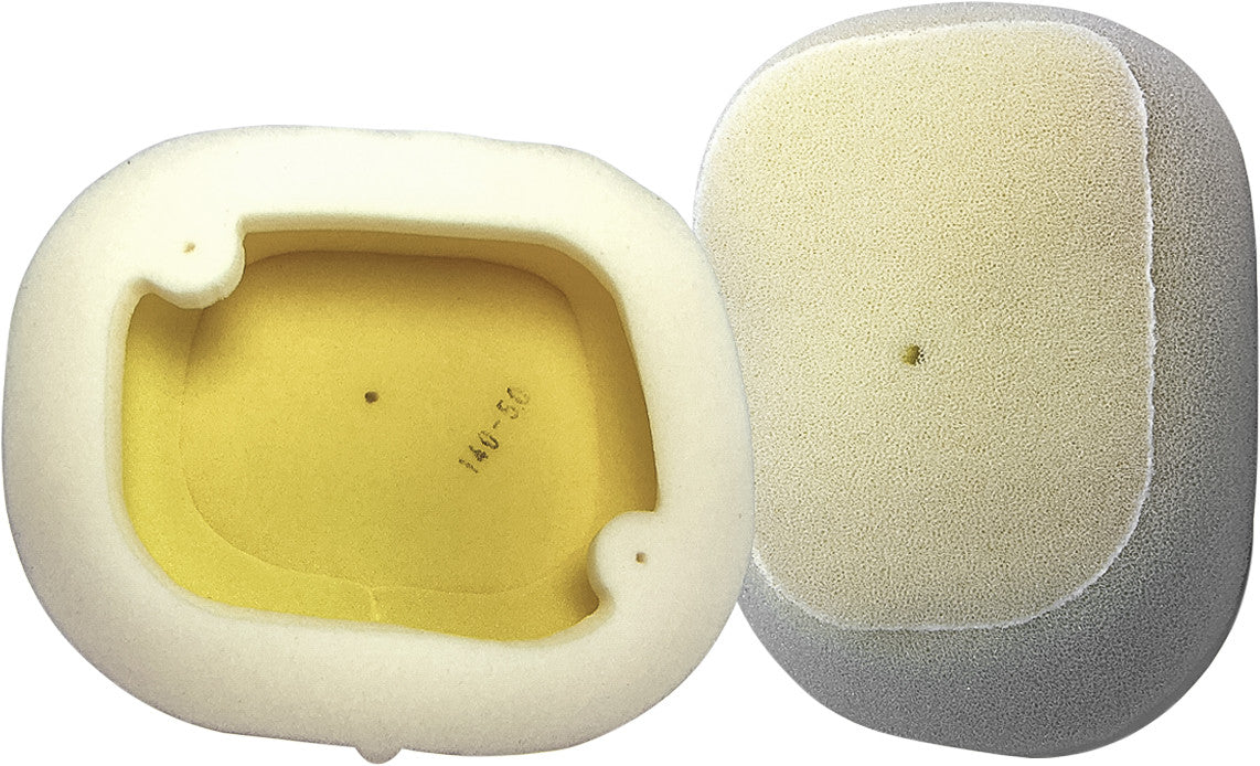 Dual Stage Foam Air Filters