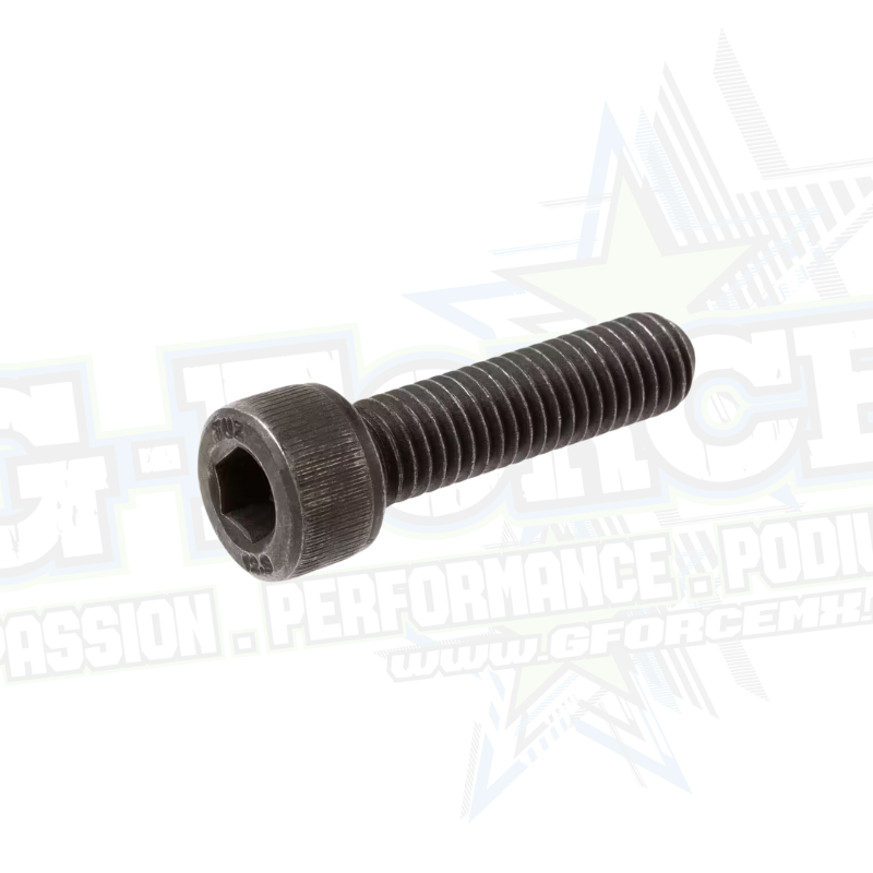 M5 x 35 Allen Bolt (BLACK OXIDE)