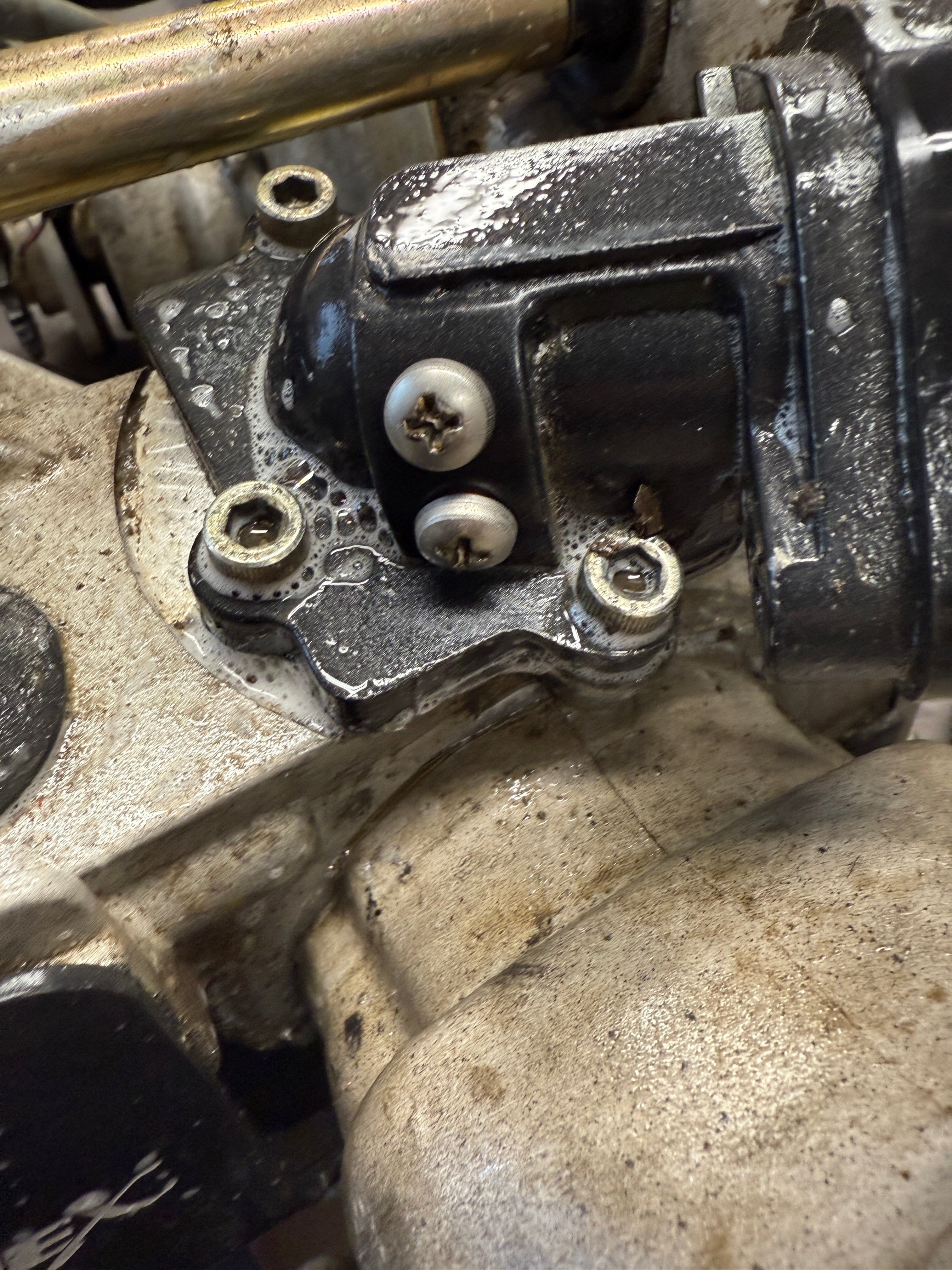 Intake Manifold - Block Off Screws w ORing x 2 (Self Sealing)