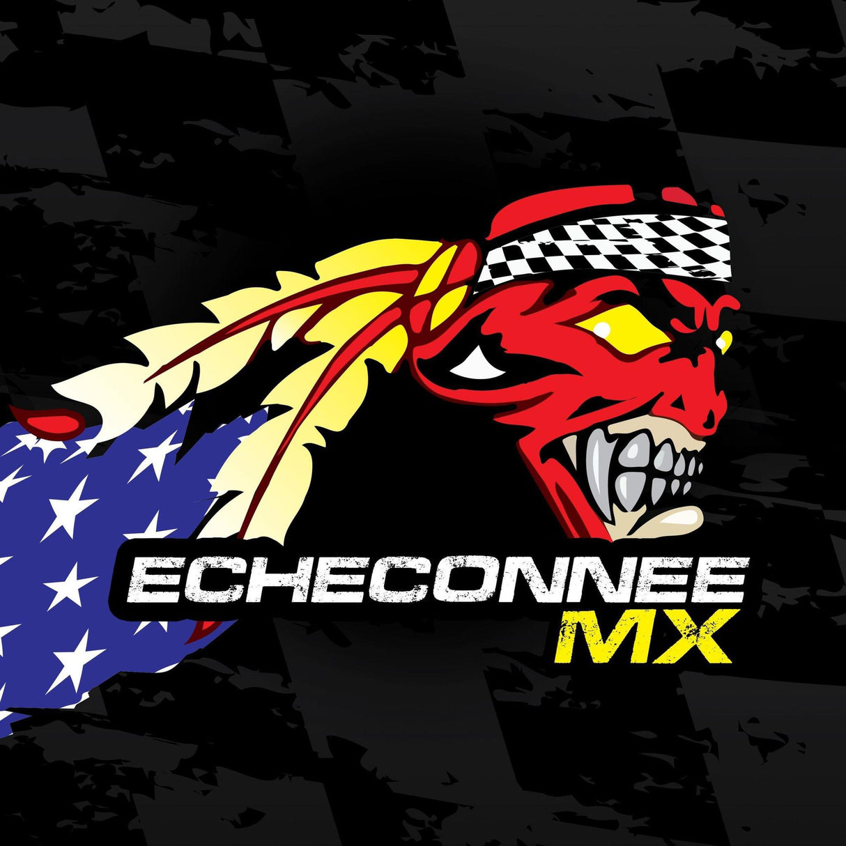 PICK UP - ECHECONNEE MX - GA - ATV MX Nationals