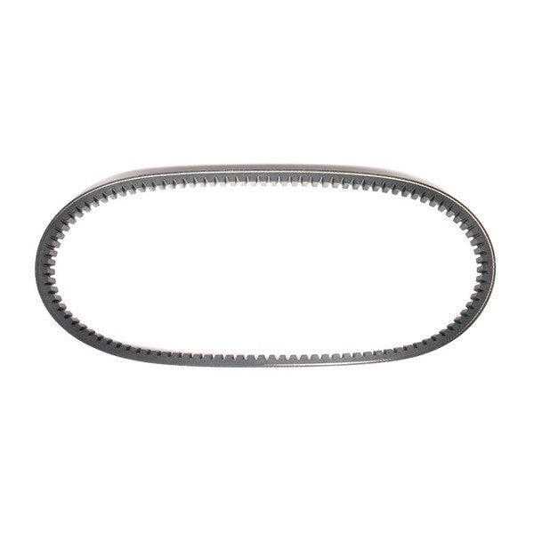 203597 Torque Converter Belt - Asymmetric 3/4 Inch Wide