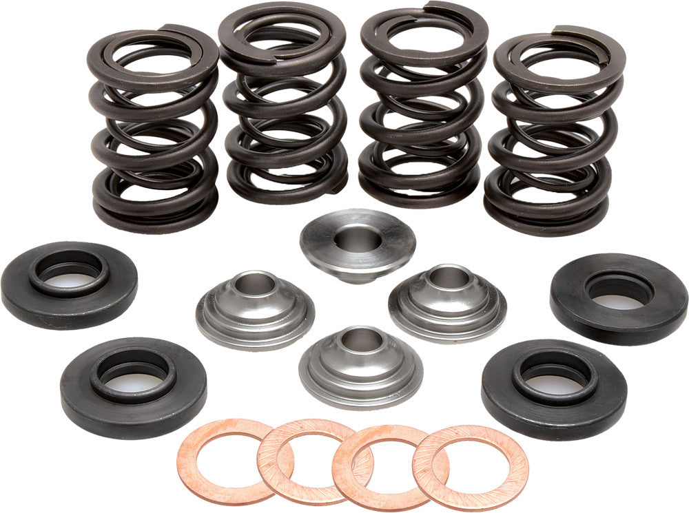 Racing Valve Spring Kit