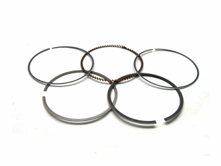 Piston Ring Kit
