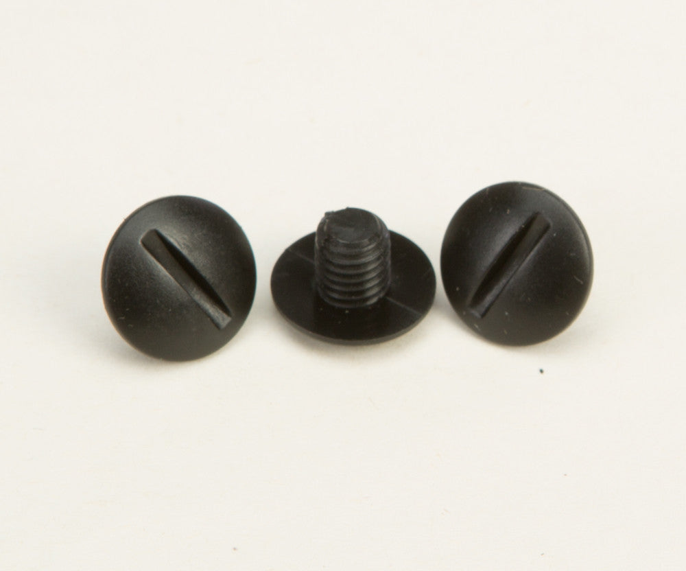 Visor Screws