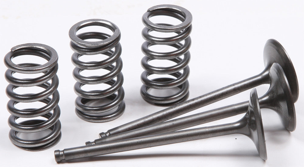 Steel Intake Spring Kit