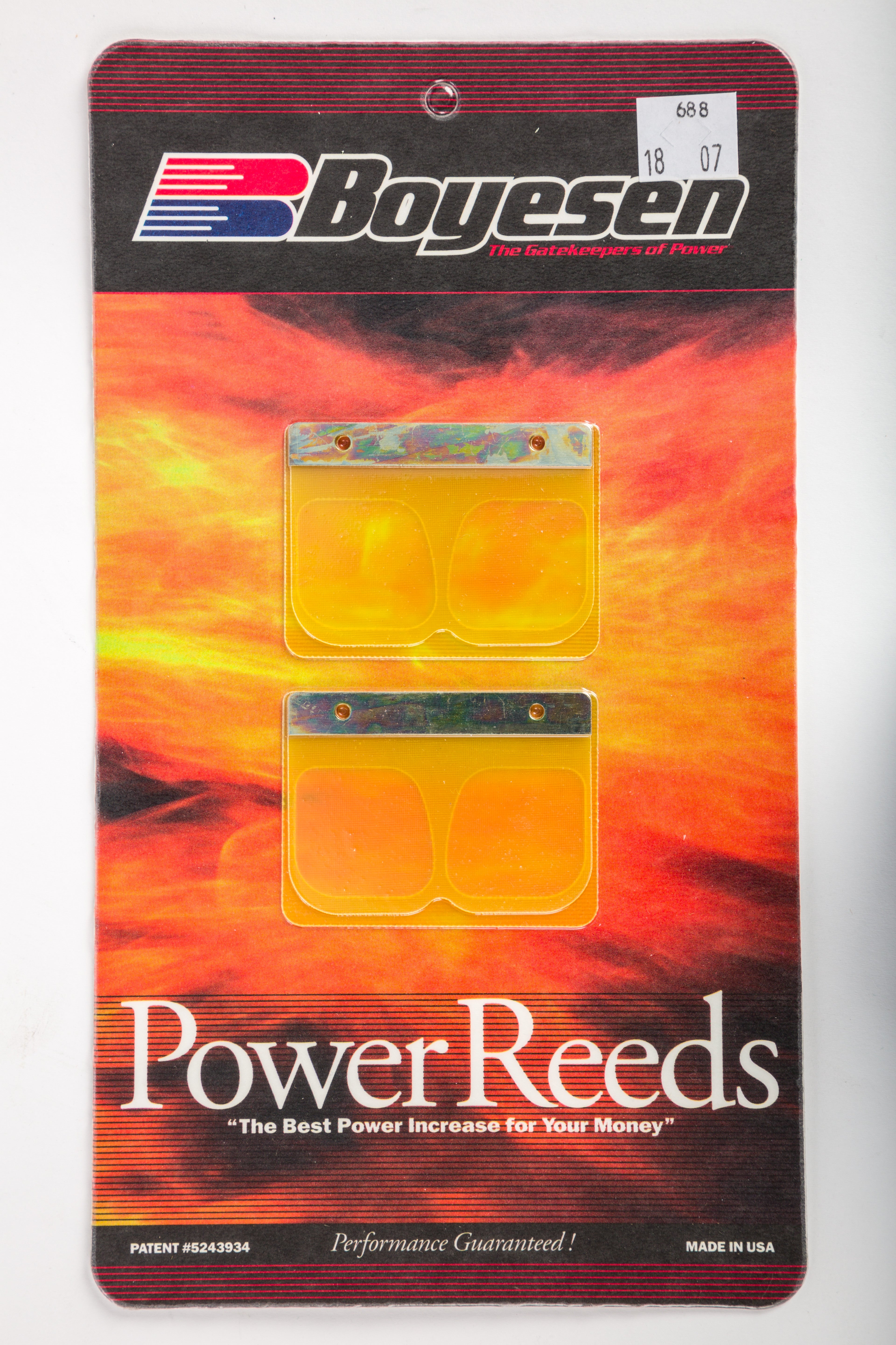 MOTORCYCLE REEDS