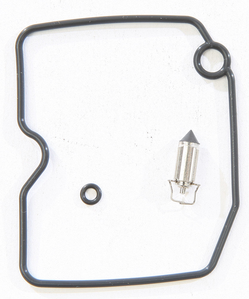 Carburetor Repair Kit