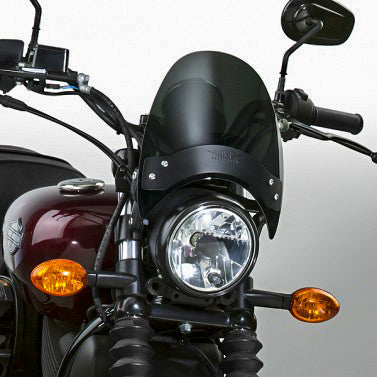 Flyscreen Windshield