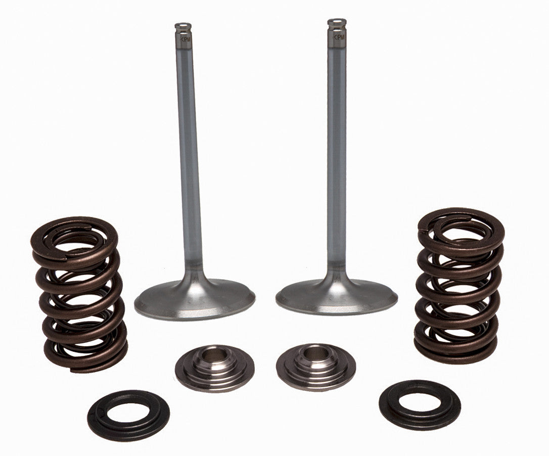Intake Valve Spring Kit