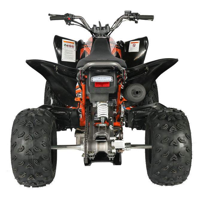 PENTORA 250cc MANUAL CLUTCH