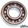 (15) Output Shaft Roller Bearing #6004 - G-FORCE POWERSPORTS