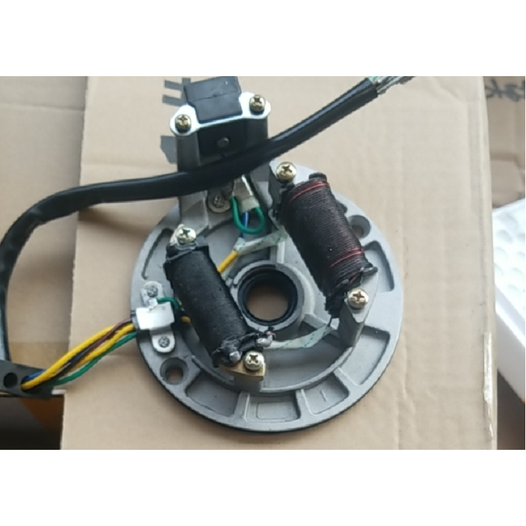 3679 | FH Stator- Kick Start Engines (Plug Type 70, 110 125cc) Fenghong