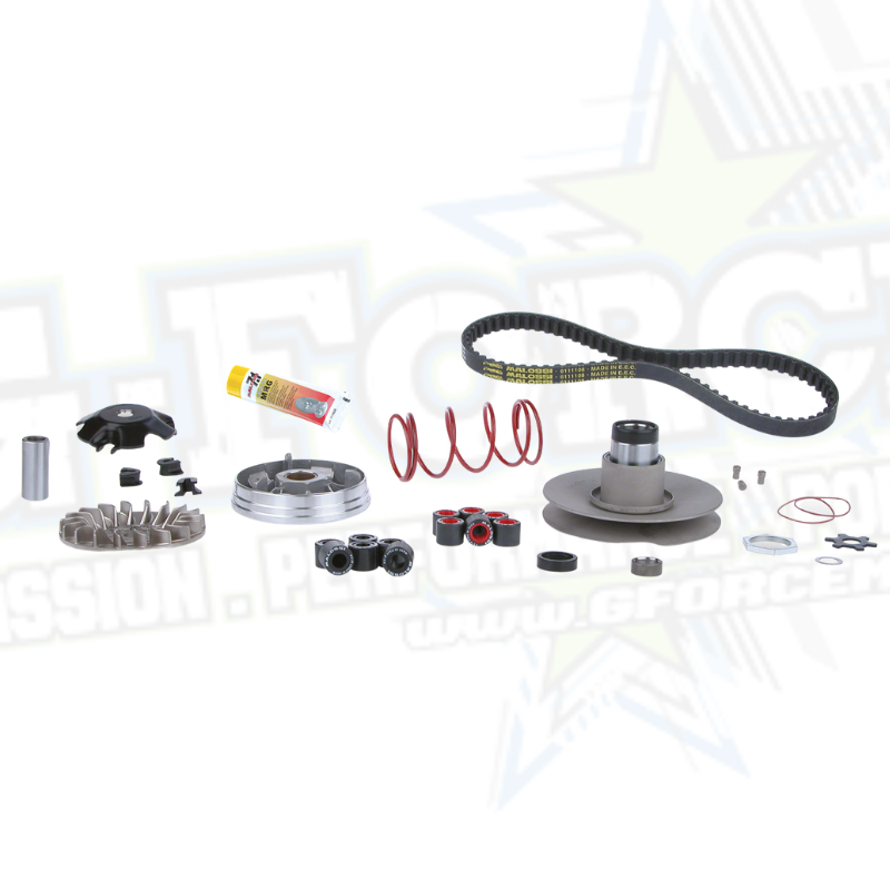 Malossi Over Range Kit - 13/16mm