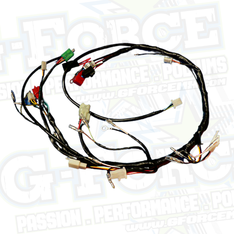 (01)  Main Wire Harness Assembly