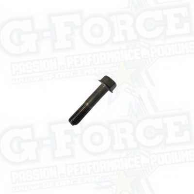 (04)  Hex Washer Face Bolt, M10x40