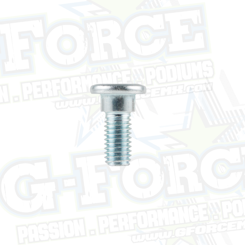 (11)  Rear disk flush brake bolt