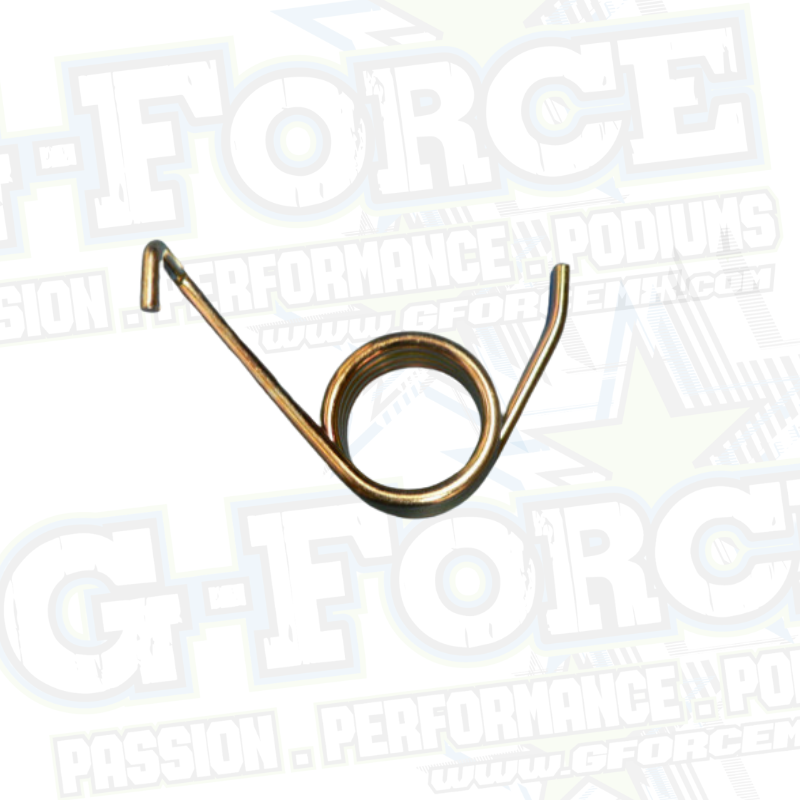 (10)   Chain Tensioner Spring