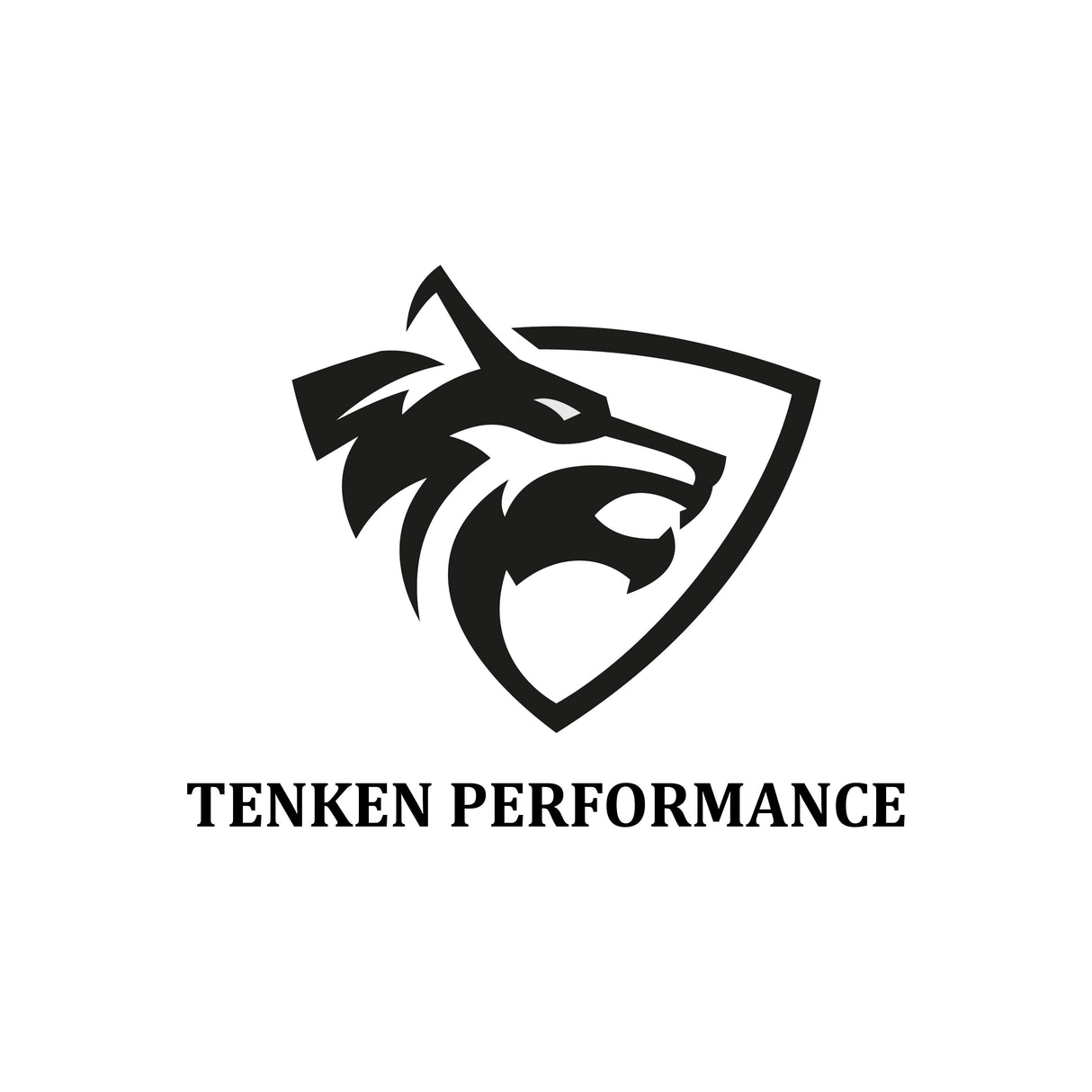 TENKEN SERVICE REQUIRED BEFORE SHIPPING