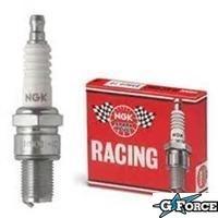 B10EG - NGK Spark Plug - G-FORCE POWERSPORTS
