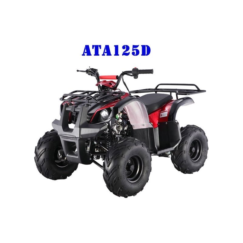 TaoTao 125cc Utility ATV