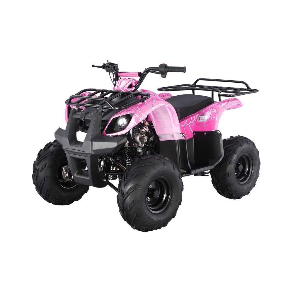 TaoTao 125cc Utility ATV
