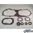 Premium - Gasket & Seal Kit - G-FORCE POWERSPORTS