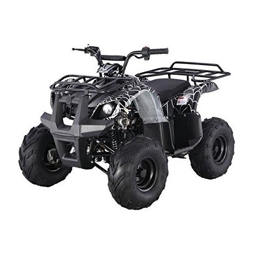 TaoTao 125cc Utility ATV - G-FORCE POWERSPORTS