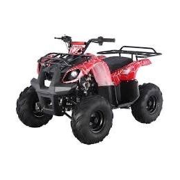 TaoTao 125cc Utility ATV - G-FORCE POWERSPORTS